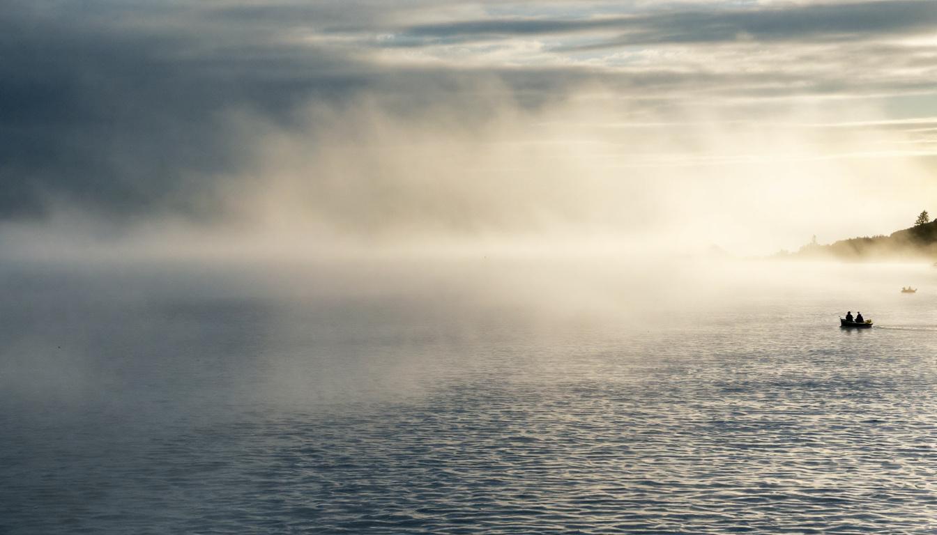 explorez les spécificités du double volant amortisseur conçu pour la peugeot 208 ii et améliorez les performances de votre véhicule avec ce composant essentiel.