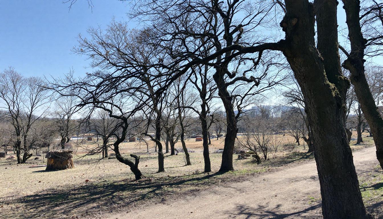 découvrez quand et pourquoi remplacer la batterie de votre volkswagen t-roc pour assurer des performances optimales et éviter les pannes inattendues.