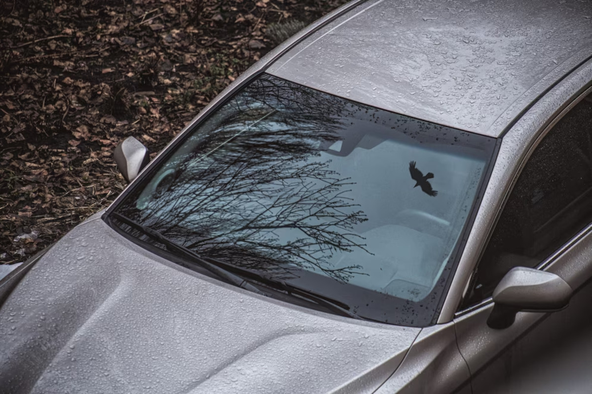 Comment protéger sa voiture du soleil ? 